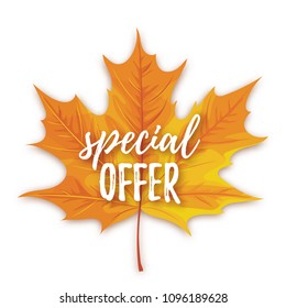 Vector illustration, Autumn sale tag design on a bright autumn leaf background.