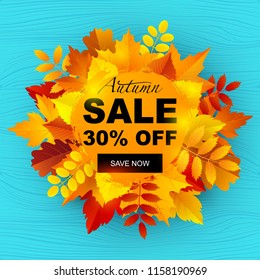 Vector illustration, Autumn sale tag design with bright autumn leaves and geometric simple background. Autumn sale text. 