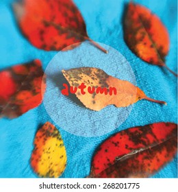 vector illustration autumn season with colorgul leaves on nlue background