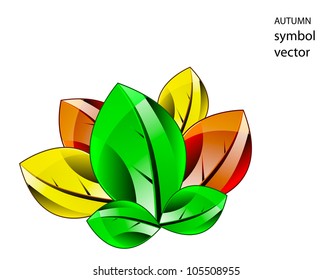 Vector illustration of autumn symbol. Leaf isolation over white background.