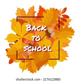 Vector illustration. Autumn template Back to School with autumn leaves.  Autumn leaves frame.