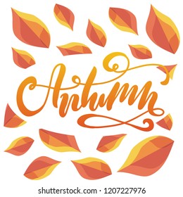 Vector illustration of Autumn text. Autumn badge, tag and icon. Autumn card/invitation/banner template. Autumn calligraphy background. Lettering typography poster. EPS 10