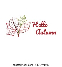 Vector illustration of autumn with text Hello Autumn. Hand drawn. Seasonal illustration with leafs.