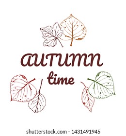 Vector illustration of autumn with text AUTUMN time. Hand drawn. Seasonal illustration with leafs.