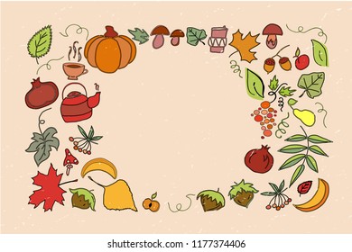 Vector illustration of autumn and thanksgiving objects on textured background. Fruits, vegetables and herbs. Pumpkin, mushrooms, pear, apple, hazelnuts, pomegranate, berries, grape, maple leaves.