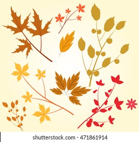 Vector illustration for autumn and thanksgving