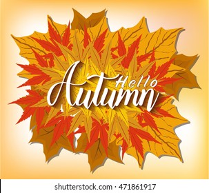 Vector illustration for autumn and thanksgving