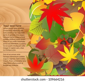Vector illustration: Autumn theme blank sign graphic design element for cards & background (Part 5)