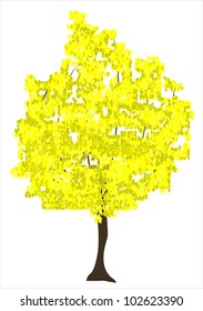 vector illustration of an autumn tree