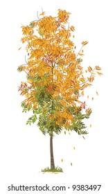 vector illustration of autumn tree