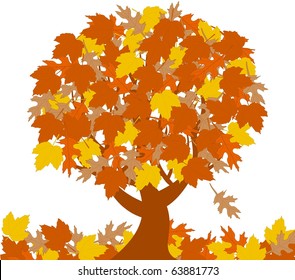vector illustration of the autumn tree  isolated on white background.