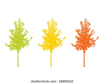 Vector illustration.  Autumn trees.