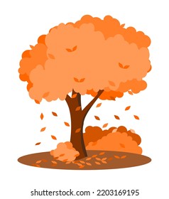 vector illustration of autumn trees, trees with leaves in orange tones with falling leaves on a white background