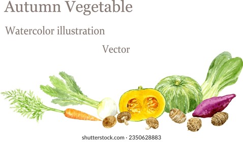 Vector illustration of autumn vegetable painted by watercolors