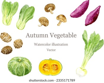 Vector illustration of autumn vegetables set paintedby watercolor