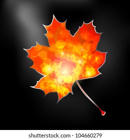 Vector illustration of an autumnal background