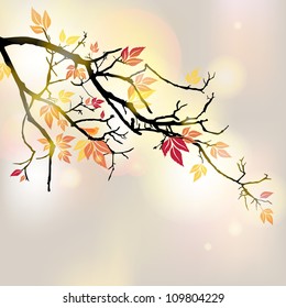 Vector illustration of an autumnal branch
