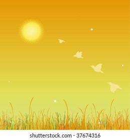 Vector illustration with autumn's garden