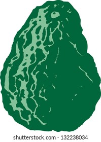 Vector illustration of avocado