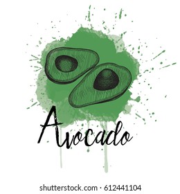 Vector illustration of an avocado