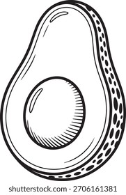 Vector illustration of avocado, black and white