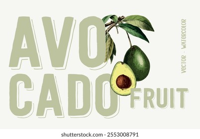 Vector illustration of an avocado branch with embedded text. Graphic concept for poster