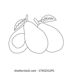 Vector illustration of avocado.  Coloring book for kids and others