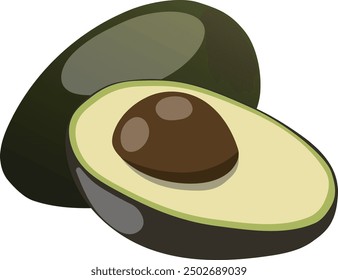 Vector illustration of avocado with cut surface visible