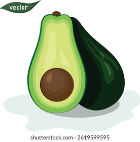 Ilustración vectorial de aguacate con núcleo