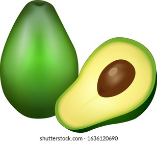Vector Illustration of avocado fruit  isolated on green background