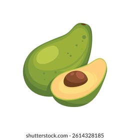 Vector illustration of avocado fruit and avocado slices isolated on white background.