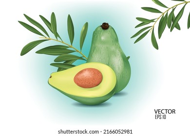 aguacate de ilustración vectorial y media de aguacate, plantilla de diseño.