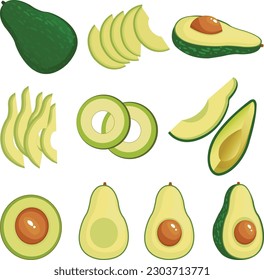 Vector illustration of avocado isolated on white background.