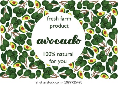 vector illustration of avocado and leaf design with lettering avocado background white and vegetable and text fresh farm product 100% natural for you EPS10