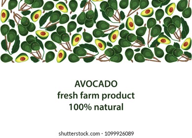 vector illustration of avocado and leaf design background white and vegetable and text fresh farm product 100% natural EPS10