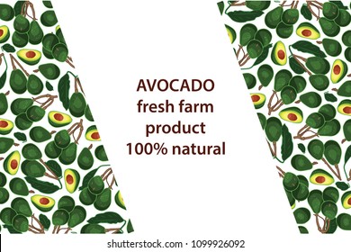 vector illustration of avocado and leaf design background white and vegetable and text fresh farm product 100% natural EPS10