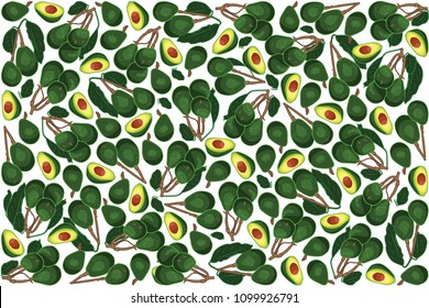 vector illustration of avocado and leaf design background white and vegetable EPS10