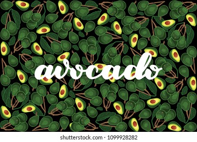 vector illustration of avocado and leaf design with lettering avocado background black and vegetable EPS10