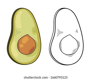 Vektorillustration Illustration von Avocado auf weißem Hintergrund.Bio-vegetarisches Produkt. Avocado-Symbole für Speisekarte oder Verpackung, Etikett, Plakat, Druck. Lebensmittelgrafisches Ätzdesign.
