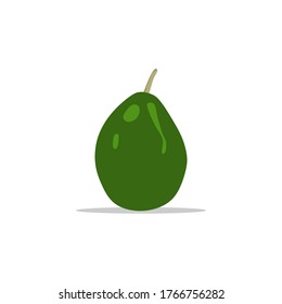 Vector illustration of an avocado with a transparent background