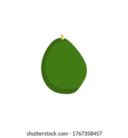 Vector illustration of an avocado with a transparent background