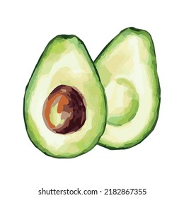 vector illustration. avocado. watercolor. greens. food. eco. art