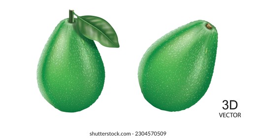 Vektorgrafik Avocados Design-Vorlage auf weißem Hintergrund einzeln.leckere frische Avocado-Früchte mit Blättern und Blättern.