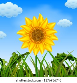 vector illustration of an awasome view with the big sunflower