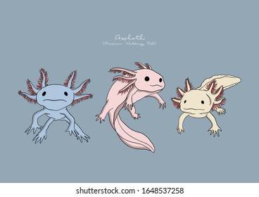 Axolotl Cartoon Hd Stock Images Shutterstock