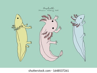 Ilustración vectorial de Axolotl, Pescado Caminante Mexicano