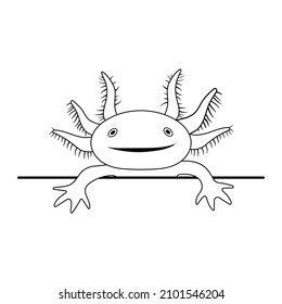 Vector Illustration Of Axolotl Salamander Isolated On White Background. Peeking Cute Axolotl Smile. Drawing In Outline Style.