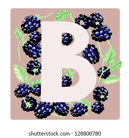 Vector illustration of B letter with blackberries