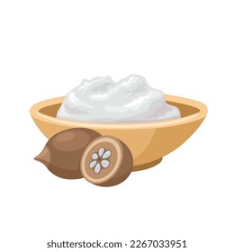 Vector illustration, Babassu oil in a bowl, with babassu palm nuts, scientific name Attalea Speciosa, isolated on white background.