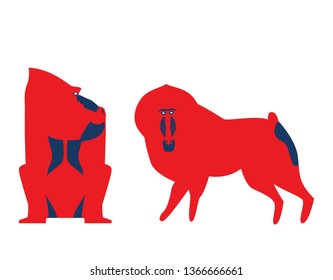 Vector illustration of baboon. Vector baboon in unusual bold colors. Baboon in differeent poses set